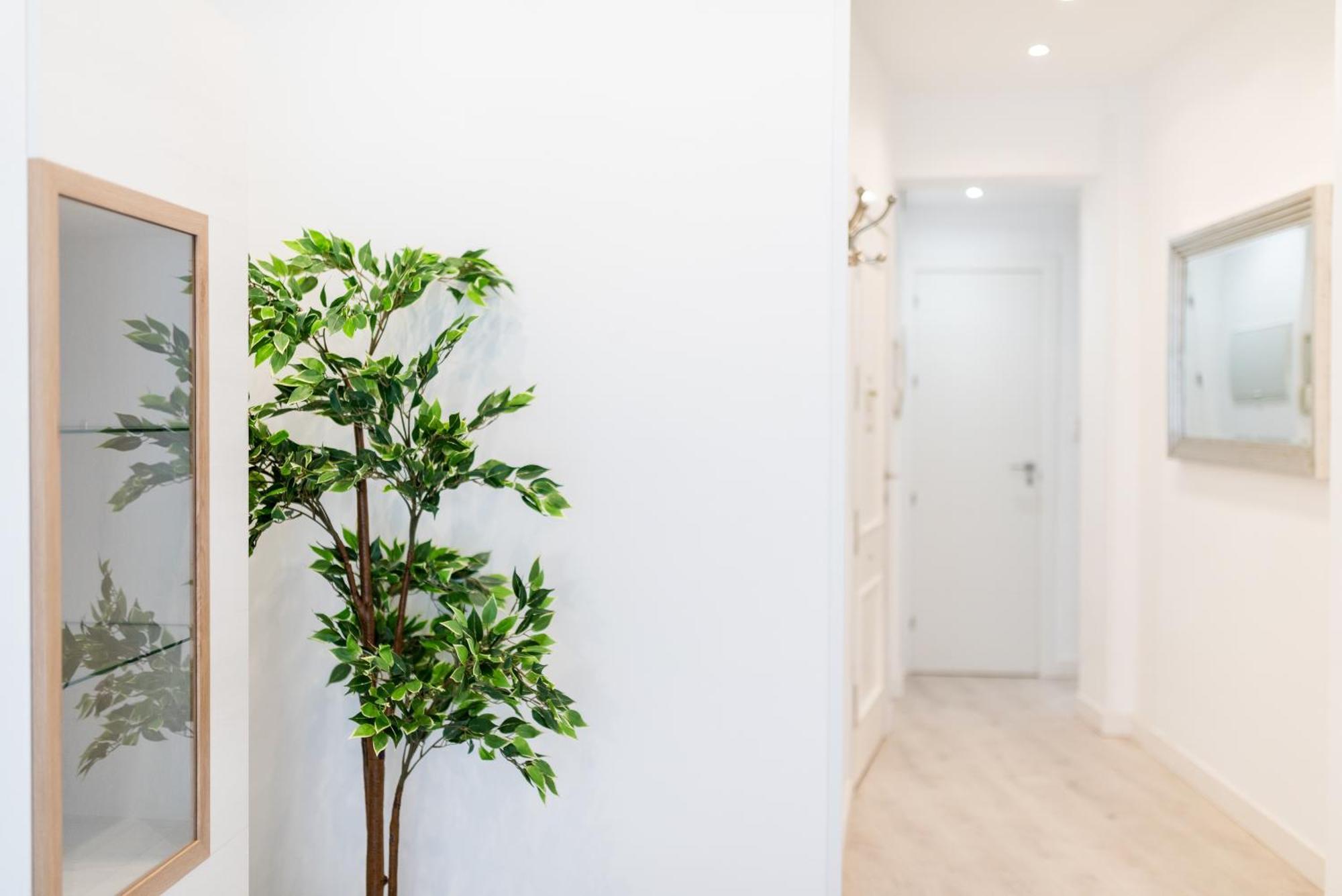 Wekey Homes Granada, Elvira Suites Centro מראה חיצוני תמונה