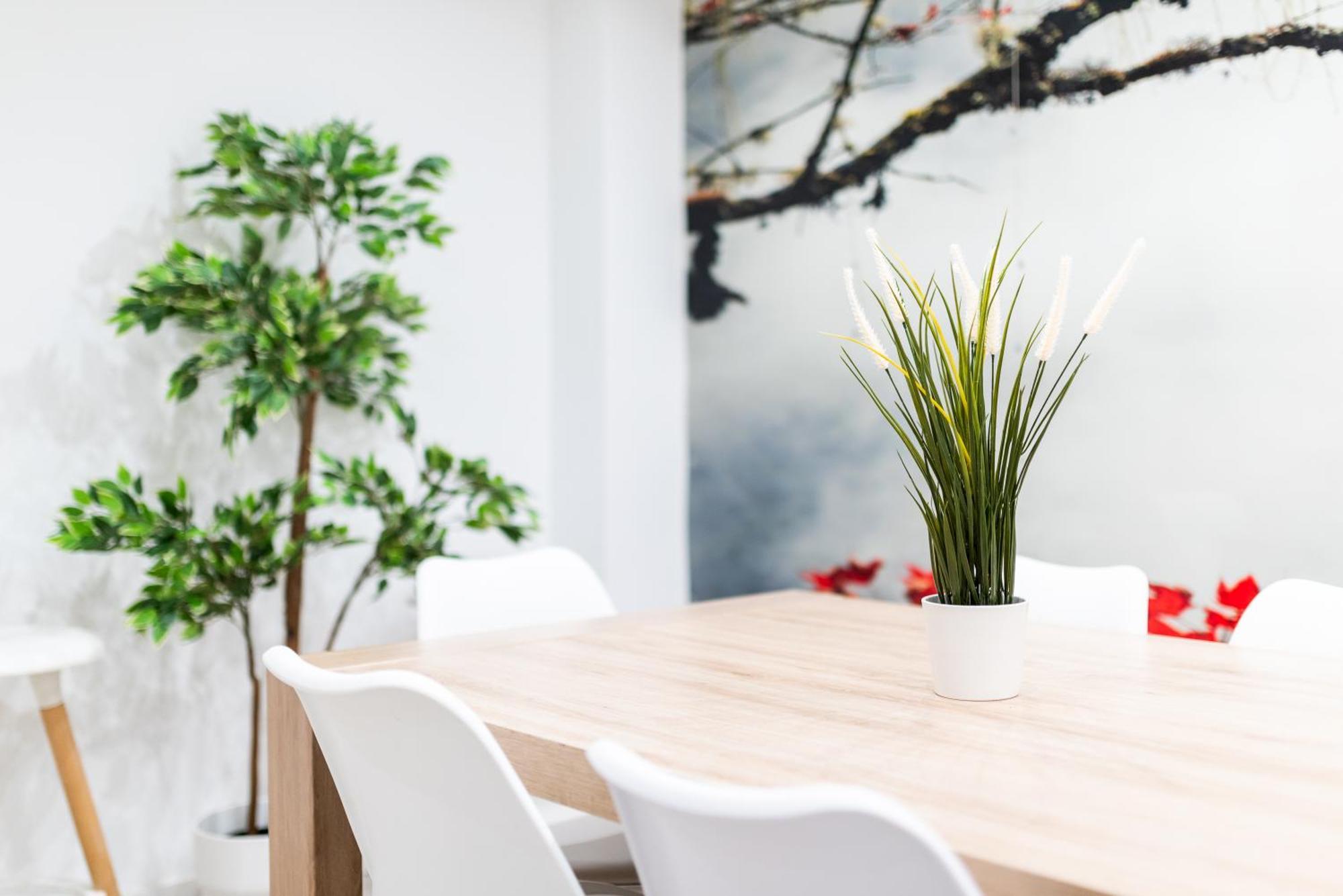Wekey Homes Granada, Elvira Suites Centro מראה חיצוני תמונה